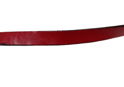 Pre-Owned Louis Vuitton Pochette Accessories Epi Leather Shoulder Bag (Castilian Red) LOU.B.1118